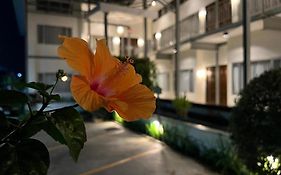 3B Boutique Hotel & Restaurant